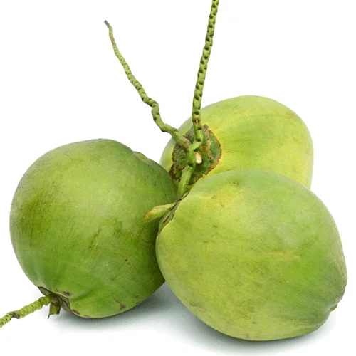 Coconut high Quality.1