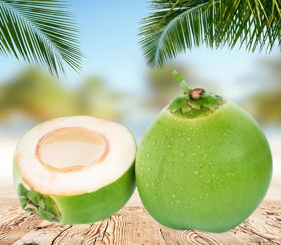 Coconut high Quality.2