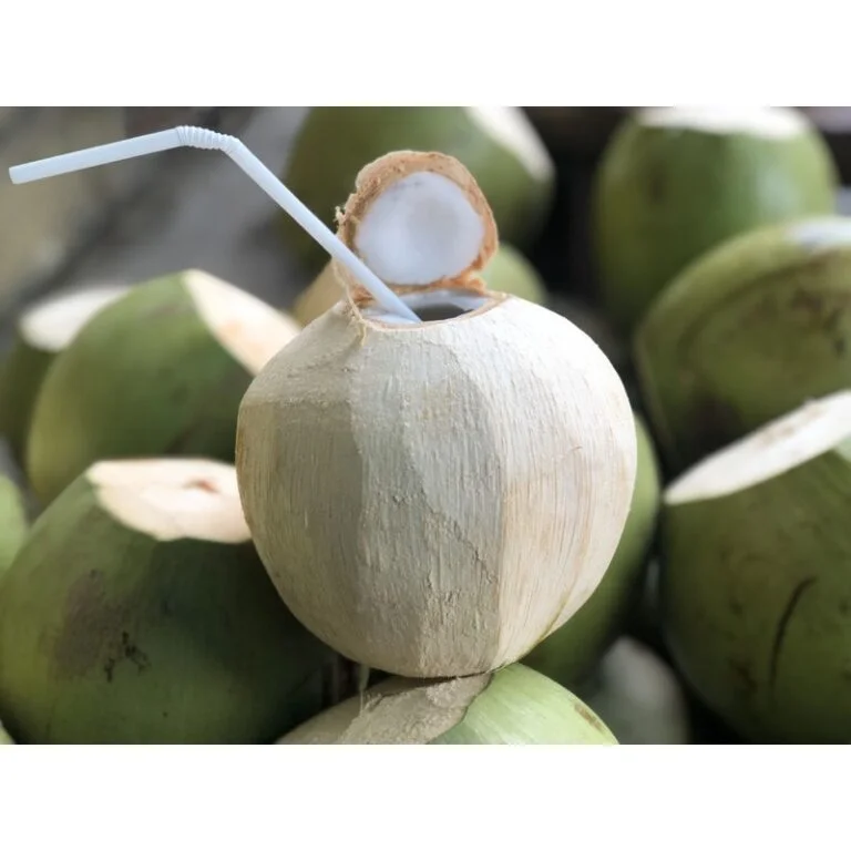 Coconut high Quality