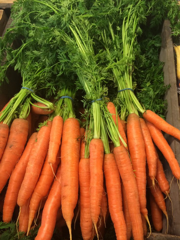 e14b8f5a12d80c4591685eaa4f485682