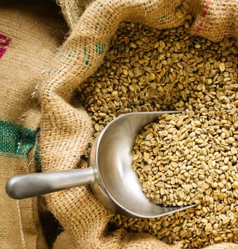 raw-coffee-beans-768x803